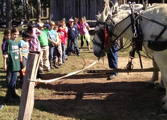 school group at farm